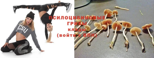 бутират Кинешма