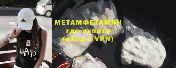 прущие грибы Киренск