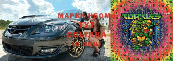 прущие грибы Киренск