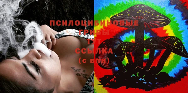 экстази Козельск